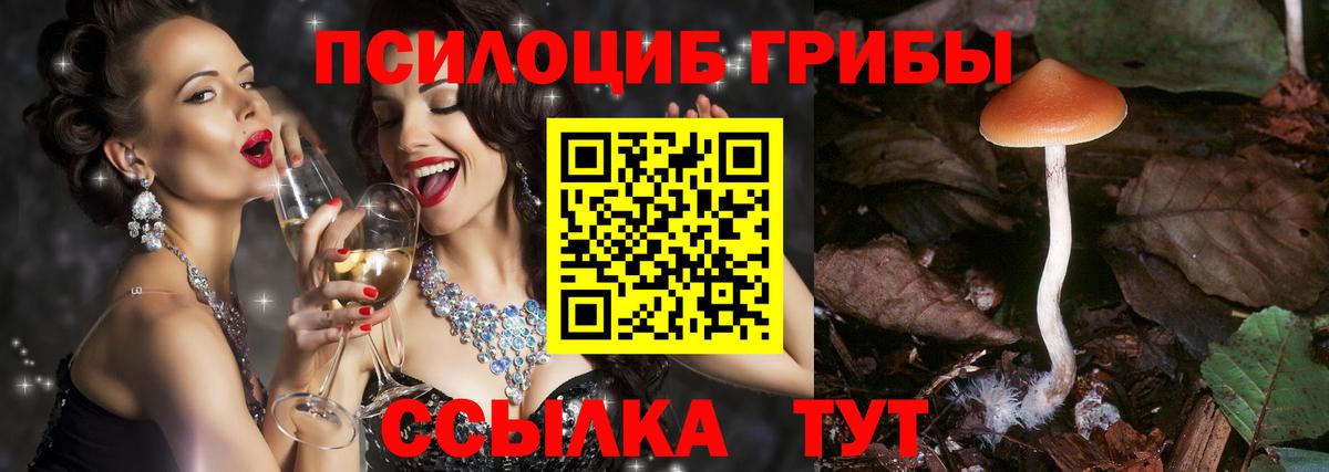 Псилоцибиновые грибы ЛСД Кольчугино