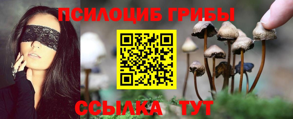 Галлюциногенные грибы GOLDEN TEACHER  Псилоцибиновые грибы GOLDEN TEACHER  Вход с VPN  Кольчугино 